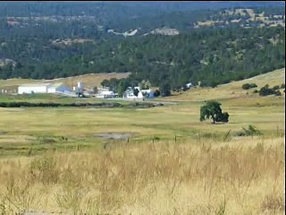 "JOHN WAYNE AND BOB HOPE HAM IT UP"