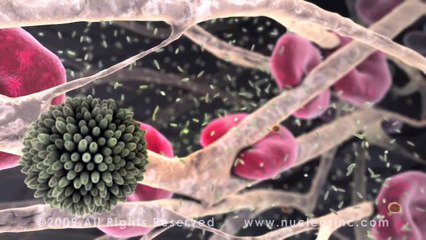 Nucleus' "Atherosclerosis" Using CINEMA 4D/After Effects