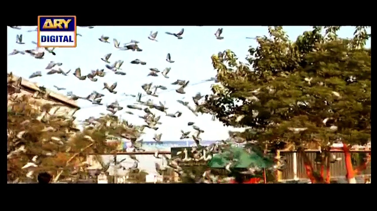 Dusri Bivi Episode 20 in High Quality on Ary Digital 13th April 2015 - DramasOnline