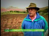 Documental: Quinua y Kiwicha, Cultivos con historia (Amaranto)