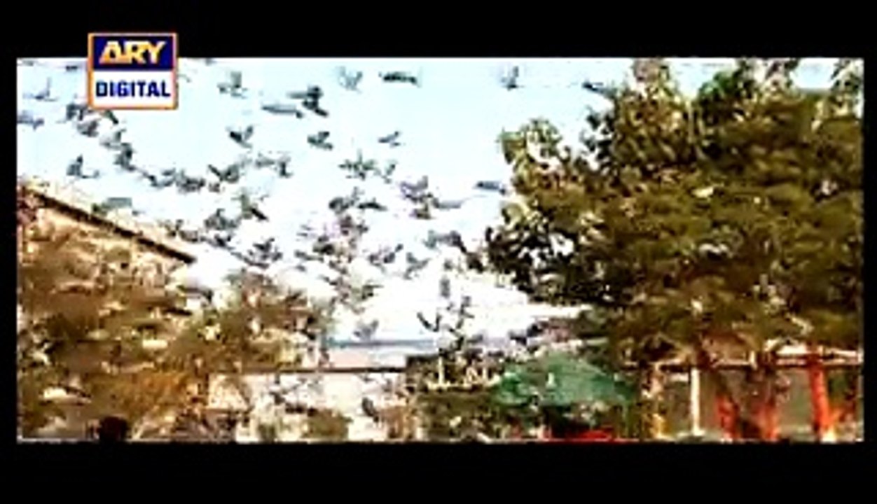 Dusri Bivi Episode 20 in High Quality on Ary Digital 13th April 2015 - DramasOnline