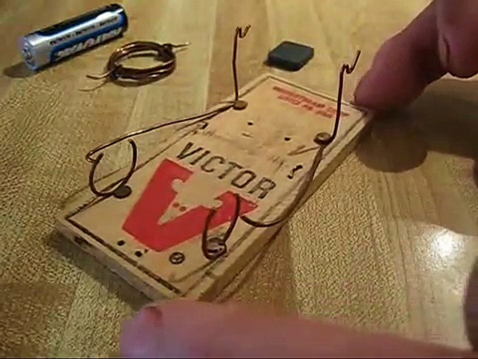 Mouse Trap Electric Motor,Free!