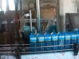 2L Automatic bleaching liquid filling screw capping machine for detergent filler and capper system