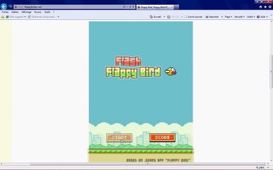 VIDEO FLAPPY BIRD PC