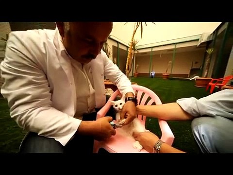 Yüzüncü Yıl Üniversitesi Tanıtım Filmi Türkçe