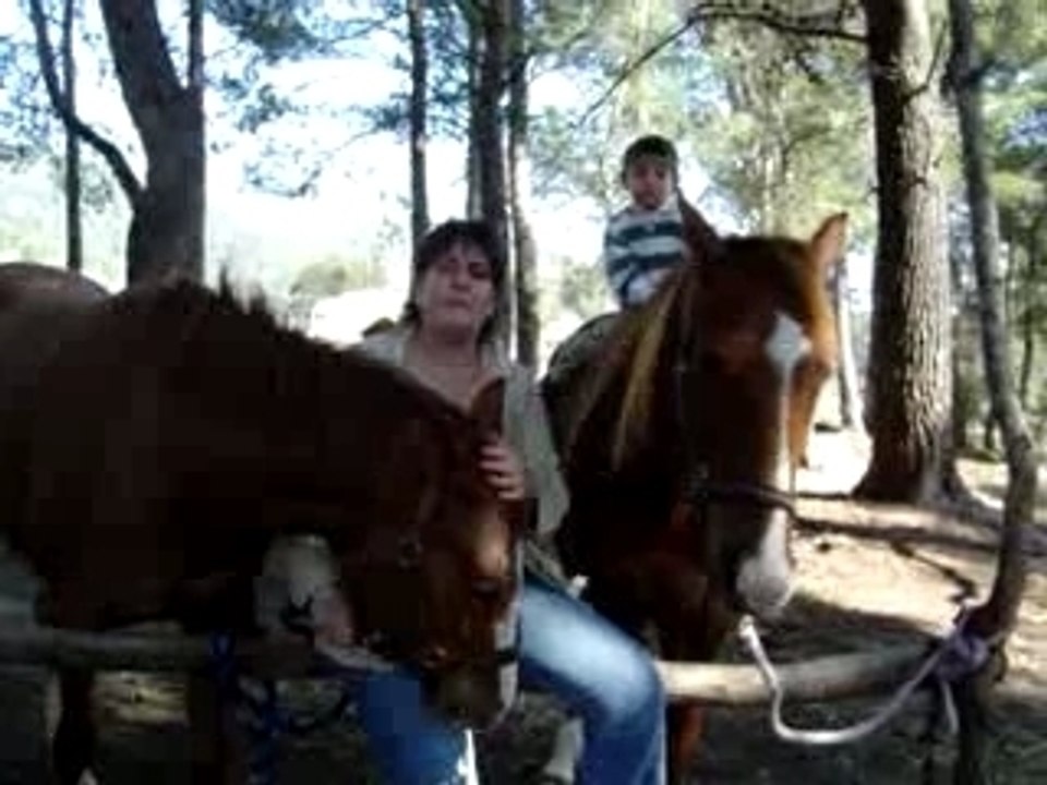 MOV02983