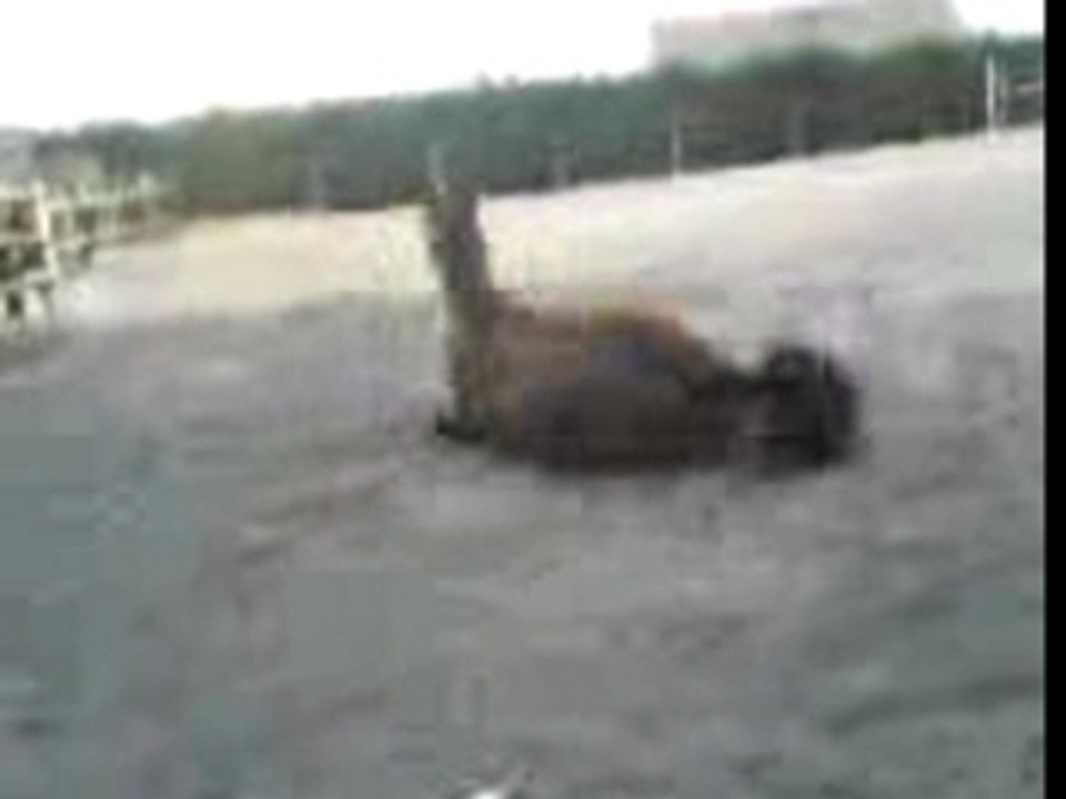 Vidéo 0015