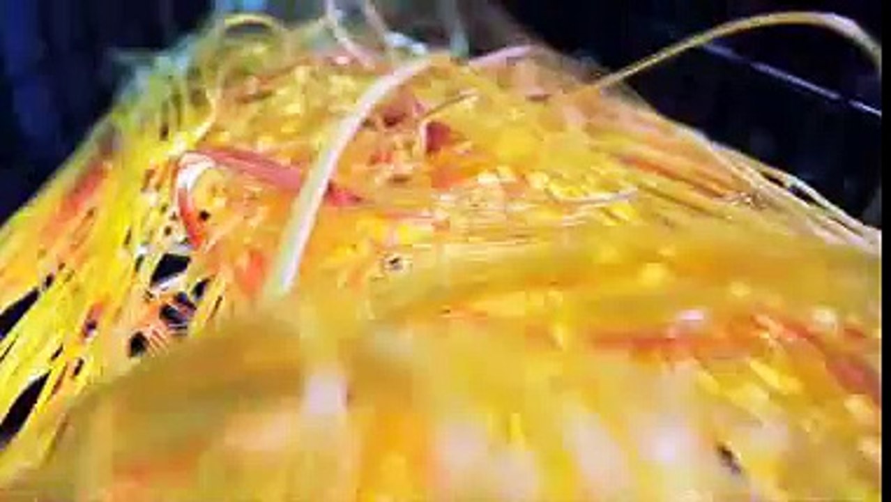 VisaNet - An Electronic Payment Processing Network -- Visa Corporate