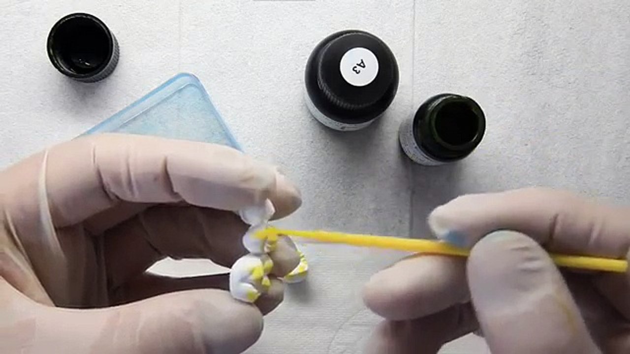 Shading the BioZX2 Zirconia by Dental Direkt