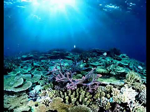 Australia, We Are One, Judith Durham, The Seekers