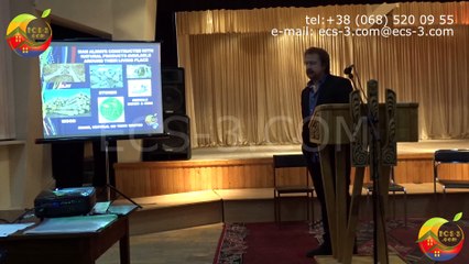 Rainbow by ECS-3.COM: conference in Nikolaev