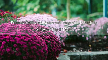 Useful Digital Publishing Tool Helps Share Online Magazine