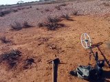 5 ounce gold nugget found sunbaking while prospecting for gold digging gold