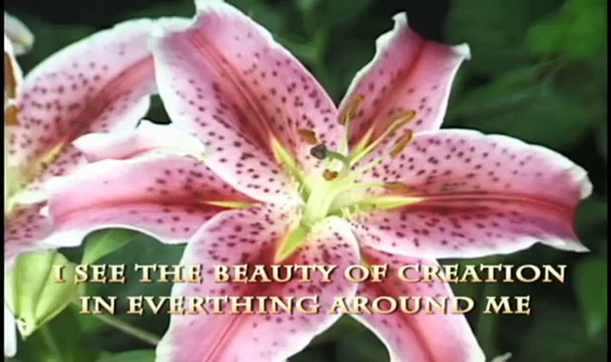 law of attraction wealth money manifestation affirmation