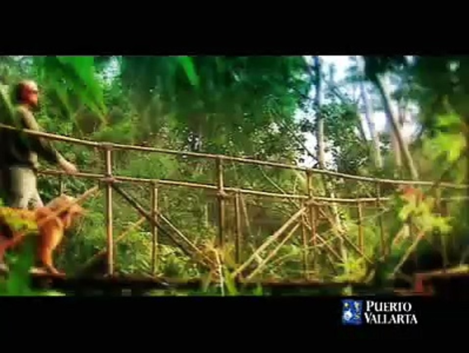 Puerto Vallarta, Mexico / Video de Puerto Vallarta, Mexico