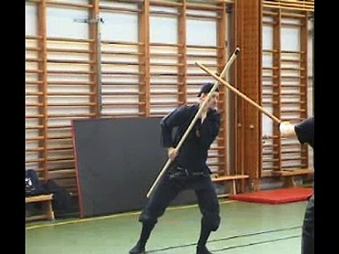 Bujinkan Bô-jutsu - Kihon (basics)