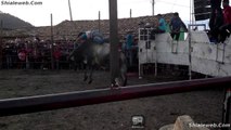 SUPER JARIPEO RANCHERO CHARRO EN OCOAPA COPANATOYAC GUERRERO MEXICO LA MEJOR GANADERIA DE LA ZONA APORTA TOROS SALVAJES PARA SER MONTADOS POR LOS MEJORES JINETES CON ESPUELA REGLAMENTARIA ABRIL 2015