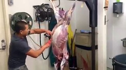 "..How Fast this Guy - GVP.."