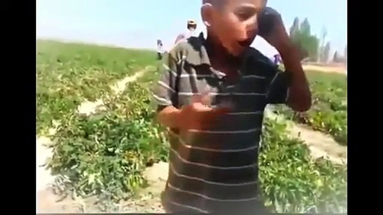 BEN SANA 80 DOLAR BİLE VERİREM SEN O KIZI VERDE )