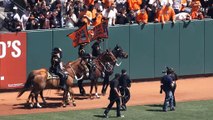 Giants celebrate 2014 Series before home opener