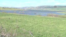 Güney Marmara'da Yağışlar Barajları Doldurdu, Kapaklar Açıldı