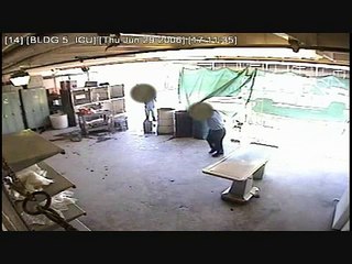Felix Reyes 6/29/2006 Baldwin Park Animal Shelter Abuse Footage