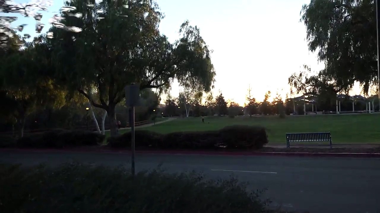 Sony PXW-X70 with Glidecam XR-4000 60fps and Active Stabilizer