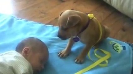 Awww so sweet - Must watch video