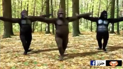Ba bonobo ba bini Mutuashi ya mamu nationale somo.