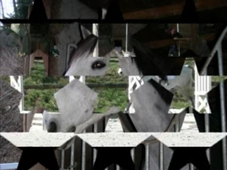 mon titou d'amour que j'aime à la folie