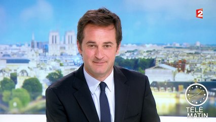 Publicité : Michel Polnareff porte plainte contre Cetelem