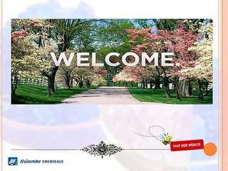 Silica Gel for Breather Transformer