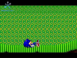 Random Flash 19 : ....................double u tea eff : Sonic vs Vince II