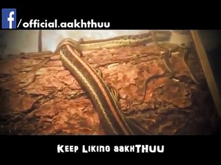 Shocking! Snake eating its own Babies