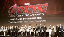 The Cast of Marvel's THE AVENGERS: Age of Ultron [HD] (AVP L'ère d'Ultron)