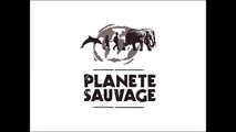 Lafayette Agency, ADHOC pour Planète Sauvage - «Le safari parc à 15 minutes de Nantes» - avril 2015 - autostop