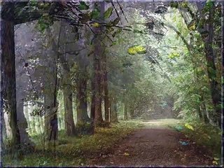 Ksenija Erker - Proljeće je otpočelo s kišom