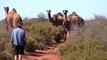 Australian Outback Desert Adventure