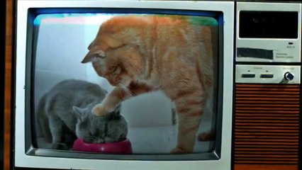 Madonna aspire l'âme de Drake