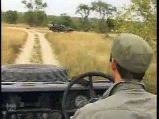 Mapogo Male Lion Pt.1