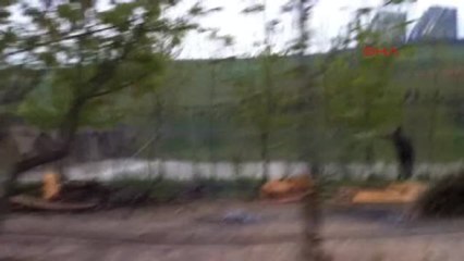 Diyarbakır'da Kaçak Yapıya Müdahale Eden Zabıtaya Silahlı Saldırı -1