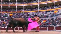 Extreme Bull Riding and Bull Fighting Fail Compilation