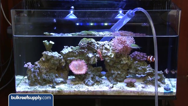 Making Aquarium Water Changes Easier - EP 2: Saltwater Aquarium Maintenance