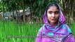 Bangladesh, in pursuit of Sustainable Development