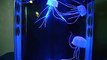 LED Jellyfish Aquarium