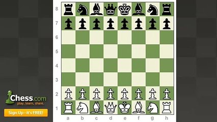 Learn to Play Chess: How to Setup a Chessboard!