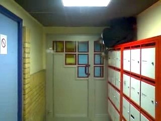 Nito monte boite o letre