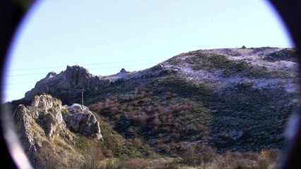 Peregrine Falcon vs Golden Eagle