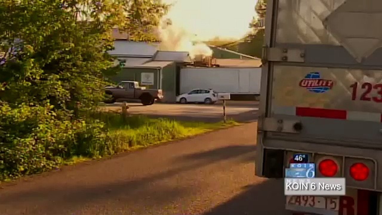 Man Was killed in Grinder machine