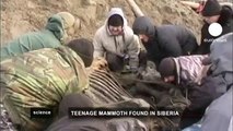 euronews science - Mammoth skeleton found in Siberia